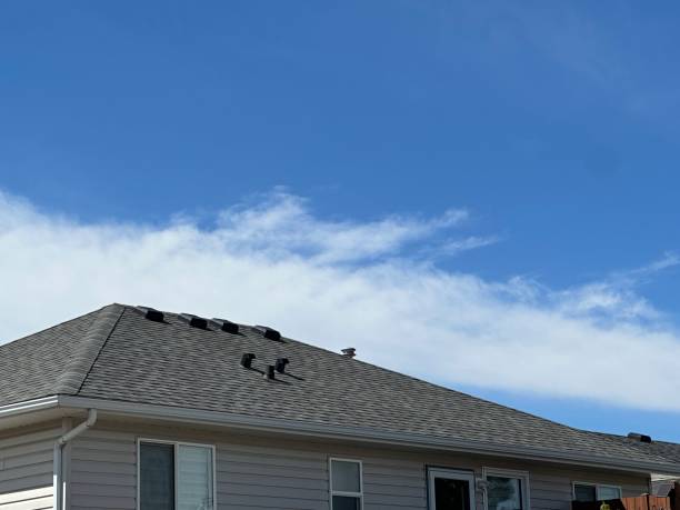 Best Roof Maintenance and Cleaning  in Gilbertsville, PA